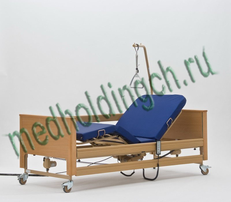 Выращивание колокольчик из семян в домашних условиях 78